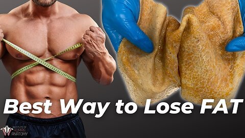 Top 10 Proven Weight Loss Tips You Need to Know