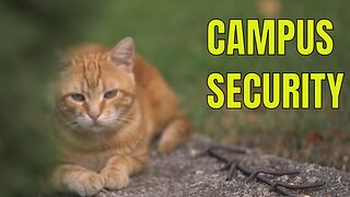 CAMPUS SECURITY - short film