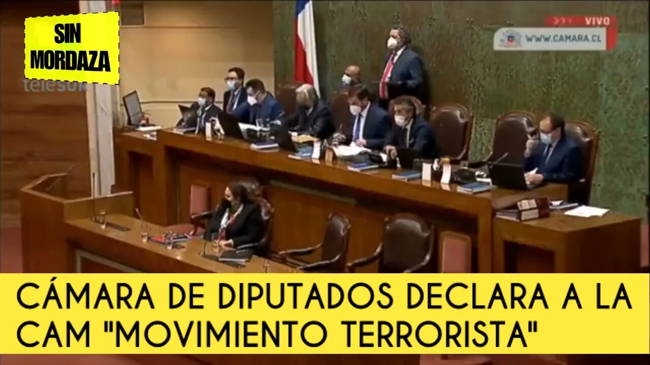 Cámara de Diputados declara a la CAM como Movimiento Terrorista