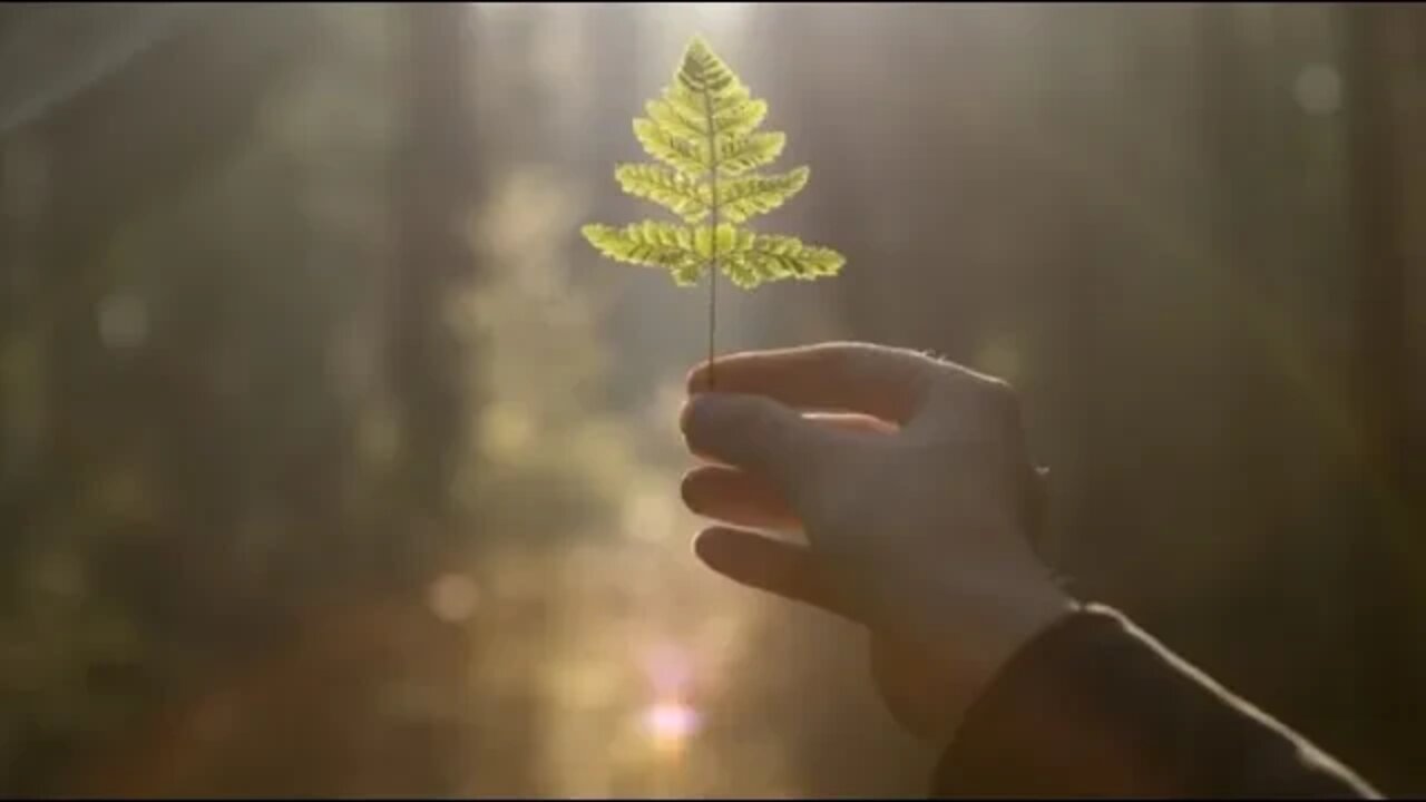 O choro dura uma noite