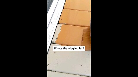 Here is Why you Wiggle