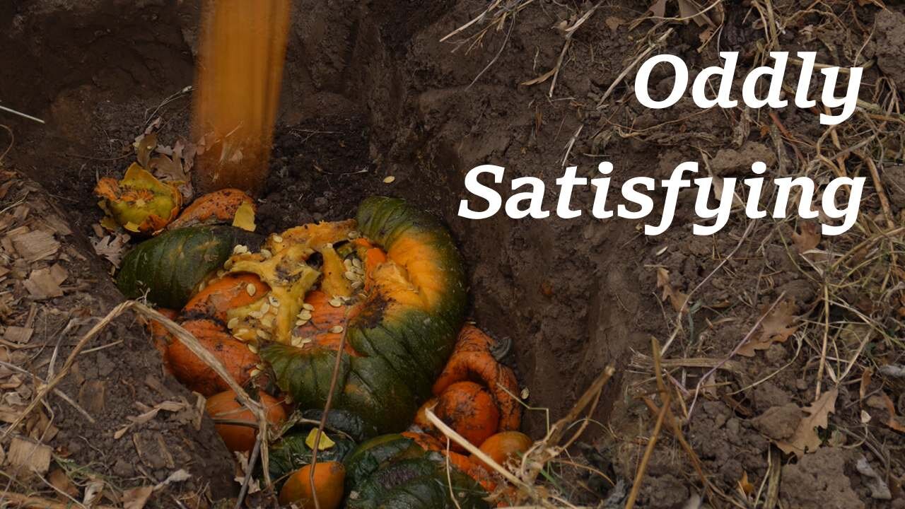 Oddly Satisfying: Destroying Pumpkins & Digging Sounds