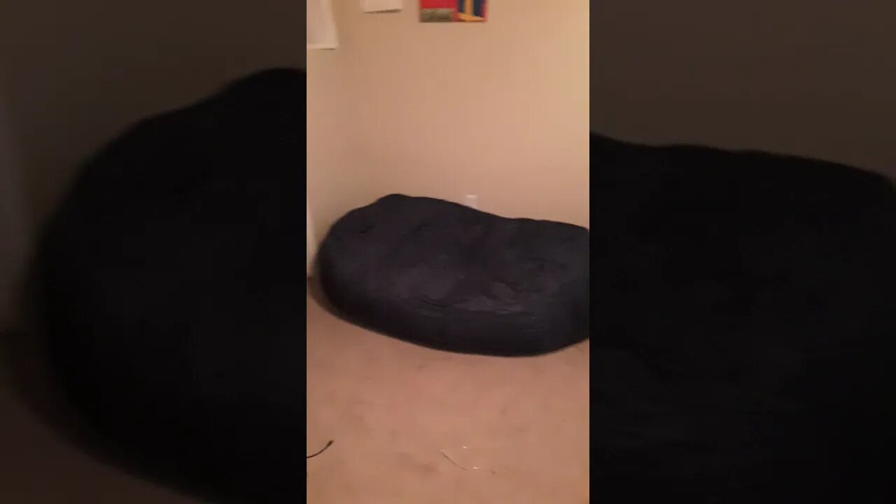 I got a giant beanbag chair #shorts | Read Comments