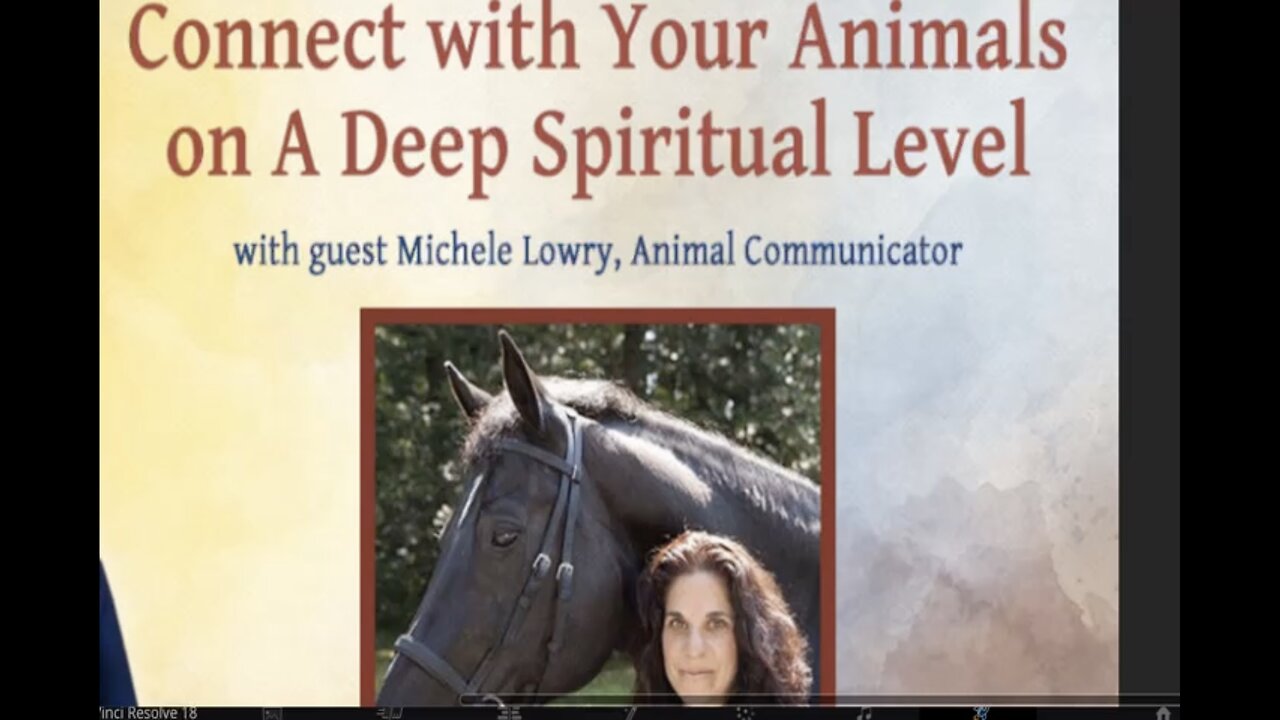 TruthStream #225 Michele Lowry: Animal Intuitive and Soul Expansion Facilitator