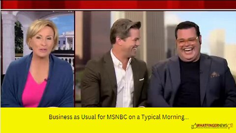 Business as Usual for MSNBC on a Typical Morning...