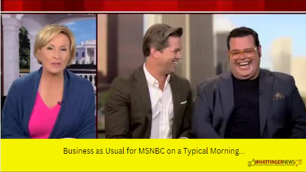 Business as Usual for MSNBC on a Typical Morning...