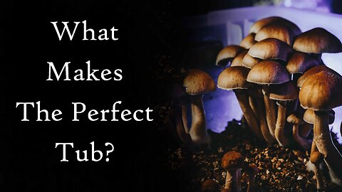 An Introduction To Growing Mushrooms: The Perfect Tub & Another Harvest Episode 14 (2021)