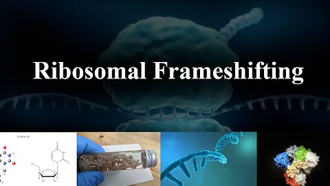 Ribosomal Frame Shifting