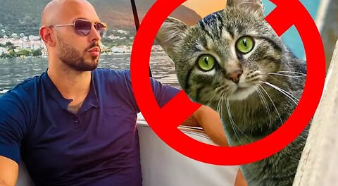 ANDREW TATE on CATS AND DOGS