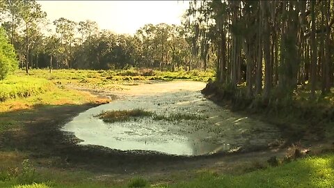 Hillsborough County leaders to make re-zoning decision on former New Tampa golf course