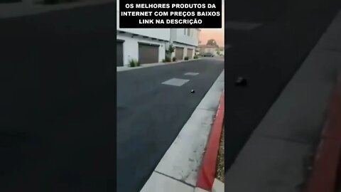 O cascudo de controle remoto 🤣🤣🤣