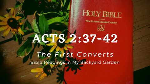 ACTS 2:37-42 (The First Converts)