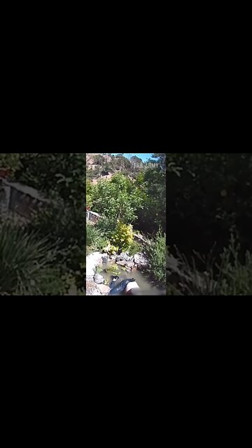 Happens every time 💀