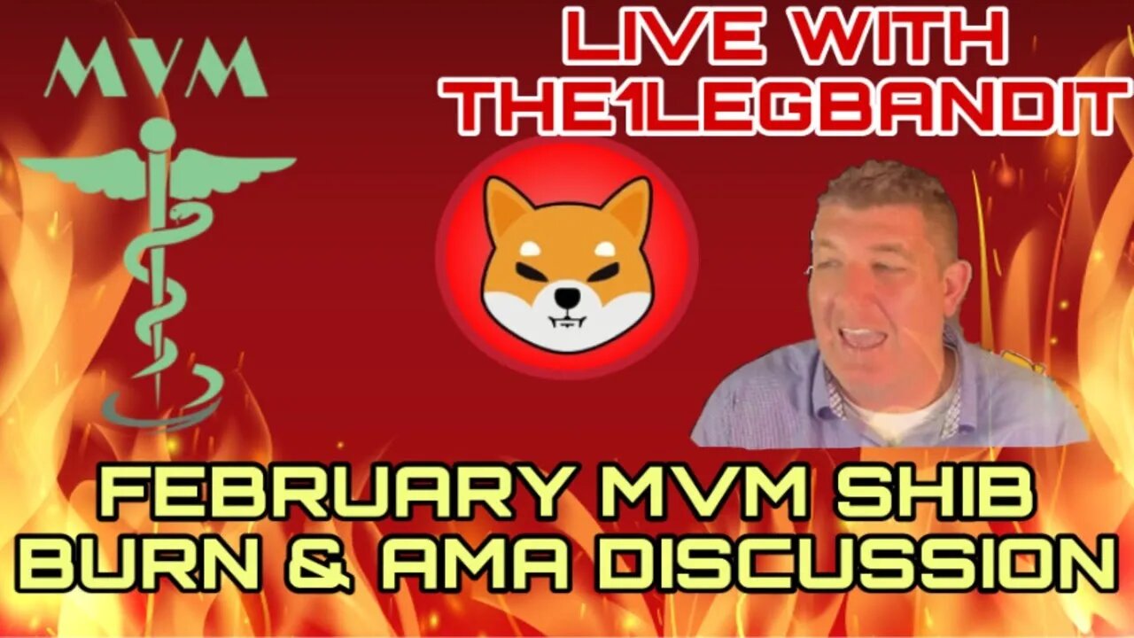 February SHIB BURN for MVM and AMA