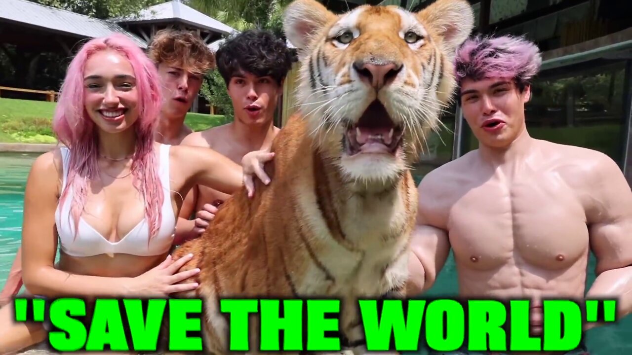 Best of YouTube: SURPRISING BESTFRIEND WITH BABY TIGERS!!