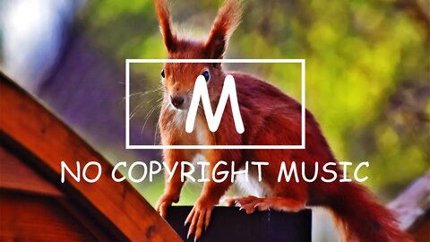 Ikson - We Are Free（Mm No Copyright Music）