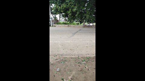 tim