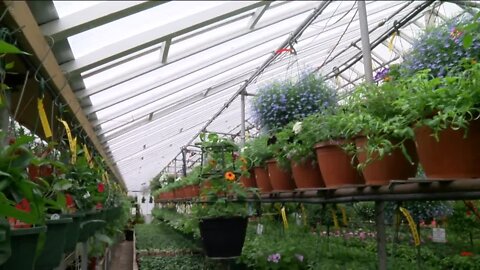 Kellner Greenhouse in Milwaukee helps keep plants from their greenhouse healthy in your garden