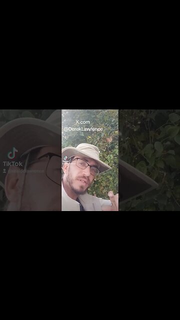 Never Let a computer get on you. #lifehacks #advice #motivation