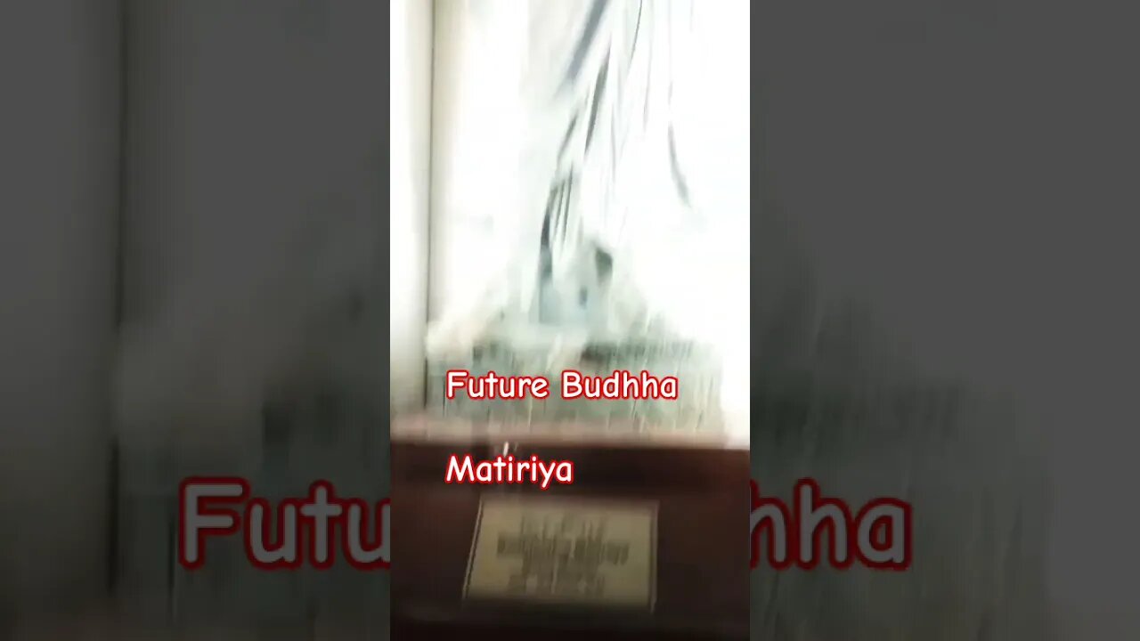 FUTURE Budhha / Matiriyaplaced in Taxila Museum l #futurebudhha #budhha #matiriya #history #travel