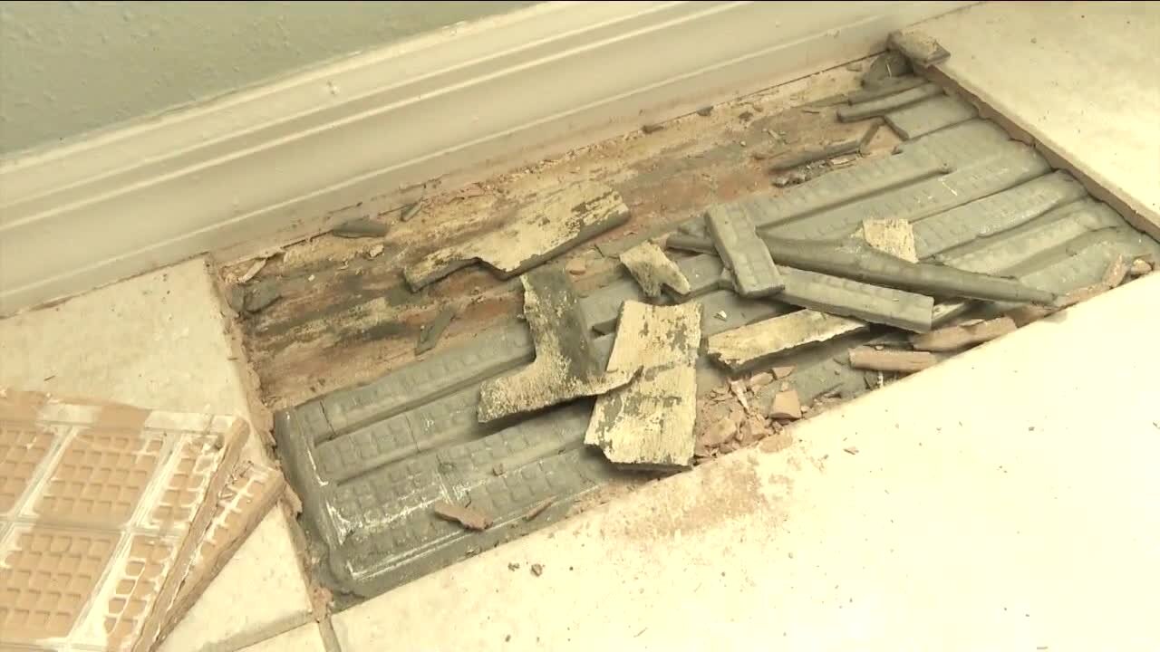 Expert says Hurricane Ian left behind a 'city of mold' and home insurance inspectors aren't catching it