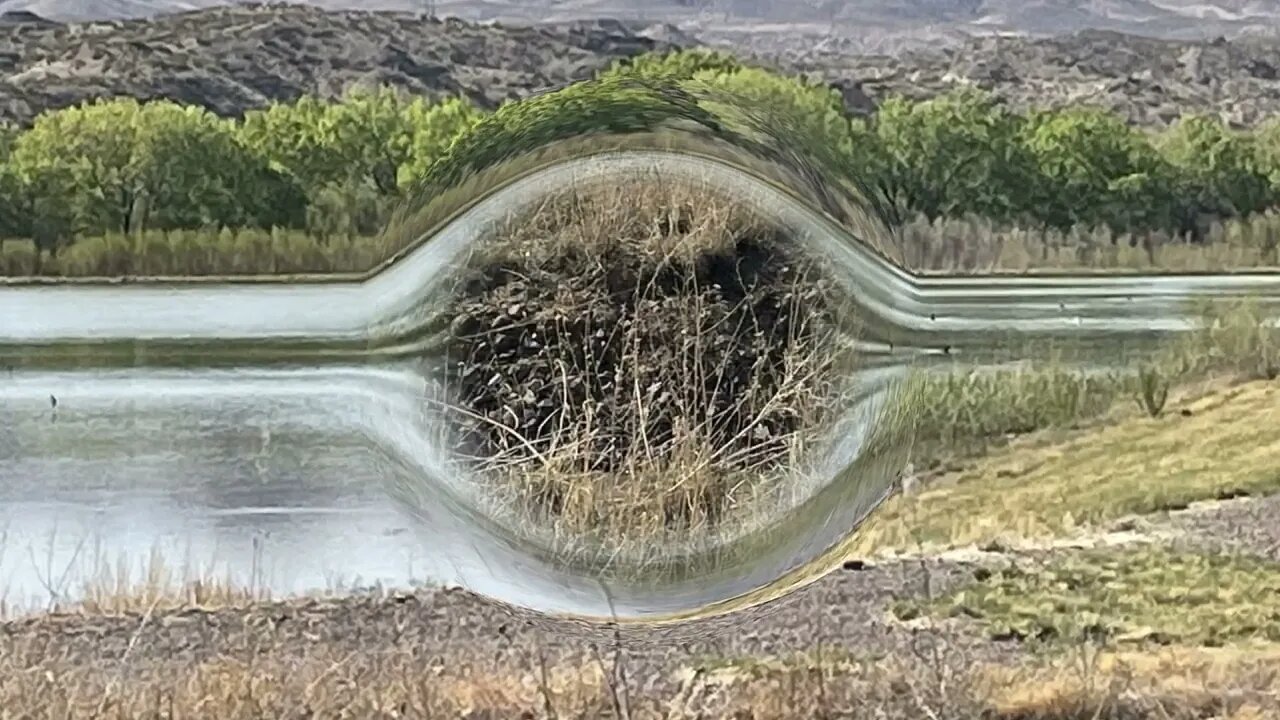 Bosque del Apache NWR April 2022