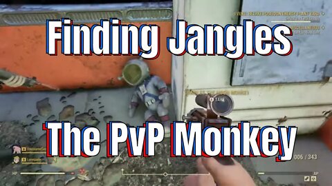 Finding Jangles The PvP Monkey