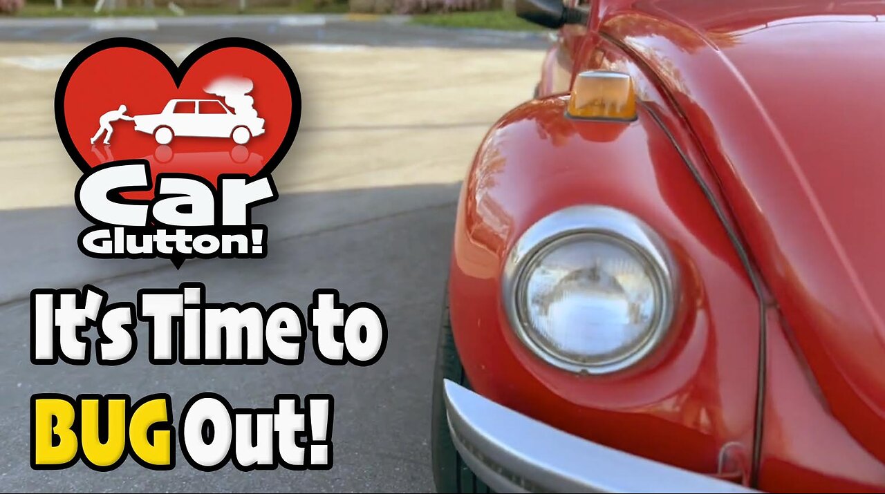 The Car Glutton: Time To BUG Out!