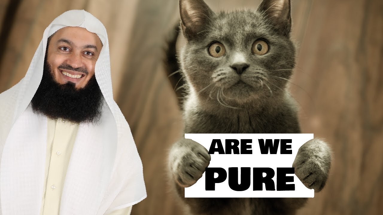 Are cats pure?mufti menk