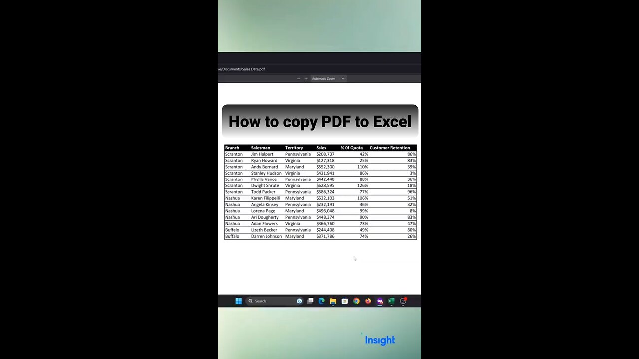How to copy PDF to Excel