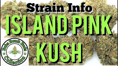 Island Pink Kush, Order Weed Online. CANNABIS REVIEW.