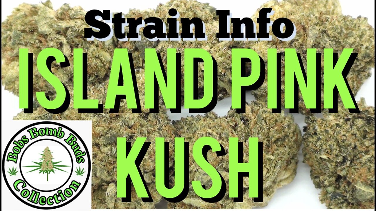 Island Pink Kush, Order Weed Online. CANNABIS REVIEW.