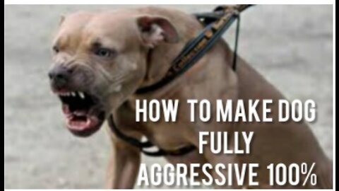 How To Make Your Dog Aggressive With Few Simple Tips