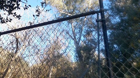 Chain link fence end post