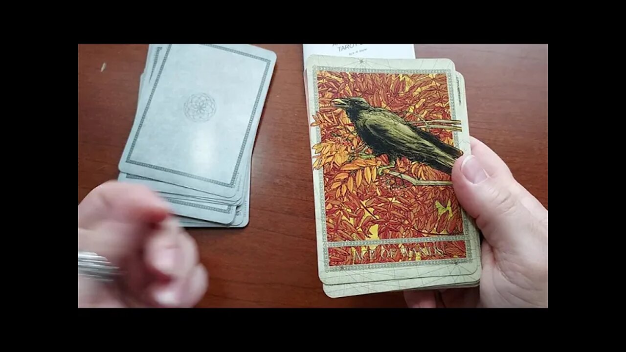 Flipthrough Review of Anieth Nature Tarot Deck by A. R. Stone