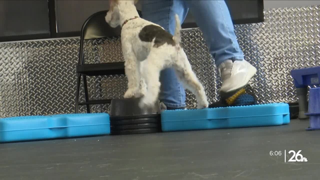 New in Neenah: The Neenah K9 Rec Center
