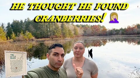 WE FOUND RUINS, NOT CRANBERRIES! | Cranberry Bog