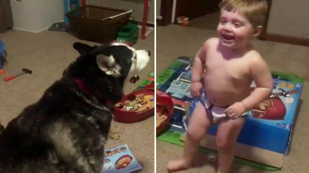 Baby talks with a husky and enjoys