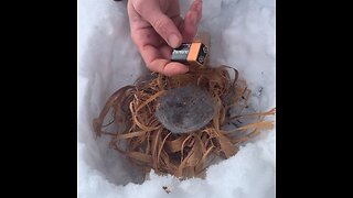 Battery & Steel Wool Fire