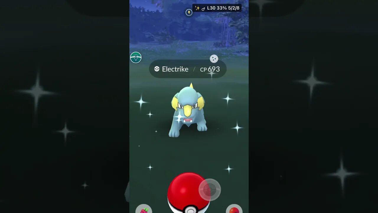 Shiny Compilation