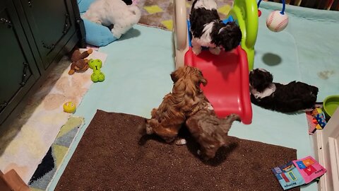 May 23rd...2 Days B4 Leaving(1)