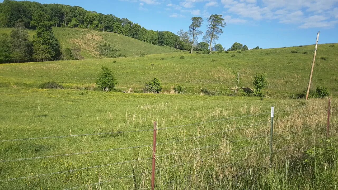 FREE Backgrounds for video creators no copyright