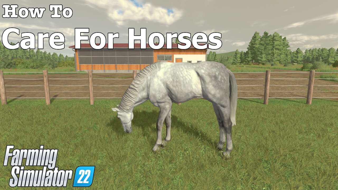 How To | Care For Horses | Farming Simulator 22