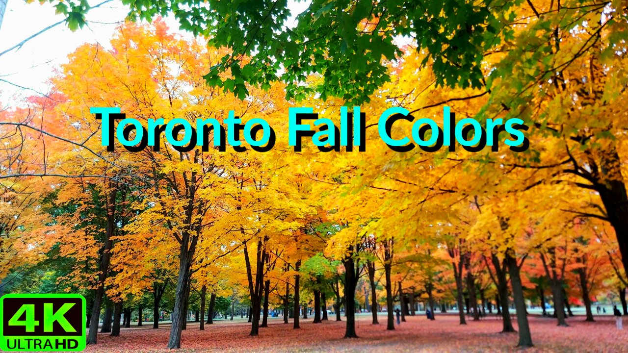 【4K】Toronto fall landscapes & foliage colors 🍁 Canada 🇨🇦