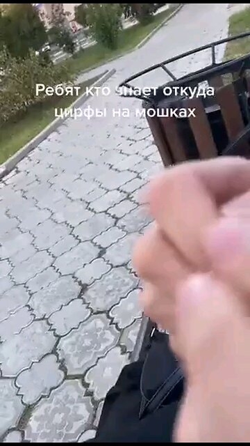 번호 찍힌 모기. 왜? 231208