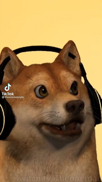 Dog singing mr sandman