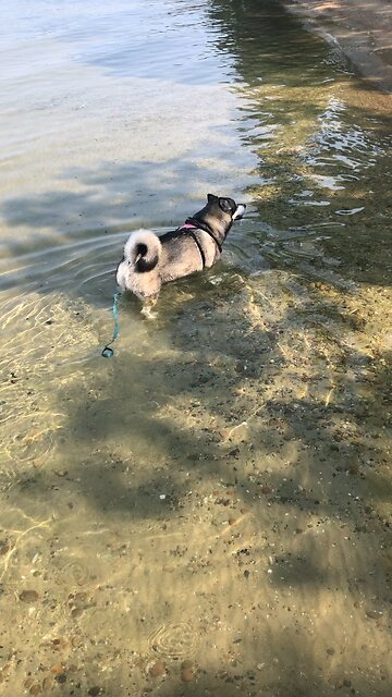 Thursday Sept 12, You have been called to live in Freedom