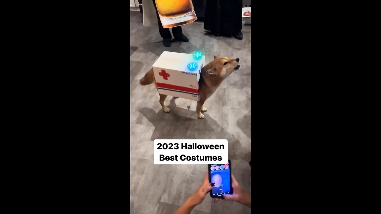 Best  Halloween custom for 2023