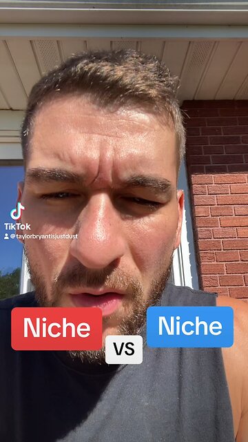 Niche VS niche?