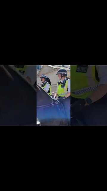 Police horses London #horseguardsparade